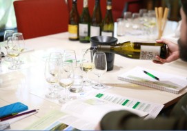 WSET course at Wine Story