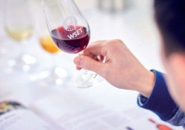 Wine Story Academy offers top-tier wine education