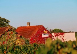 Discover the smallest major appellation in Bordeaux
